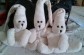 foto peluche sleepy