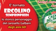 visual_ercolino