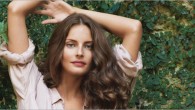 phyto_dossier_visu_phytogloss